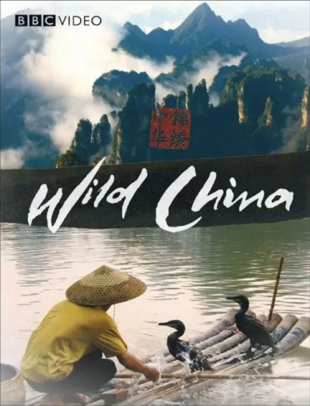 美丽中国