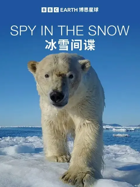 冰雪间谍