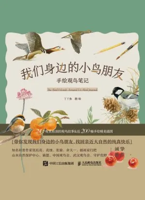 我们身边的小鸟朋友：手绘观鸟笔记