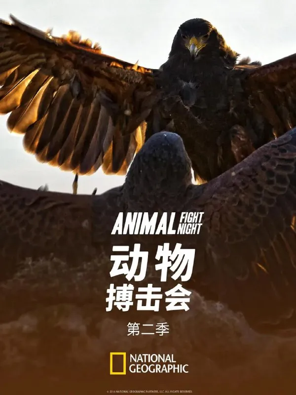 动物搏击会第二季