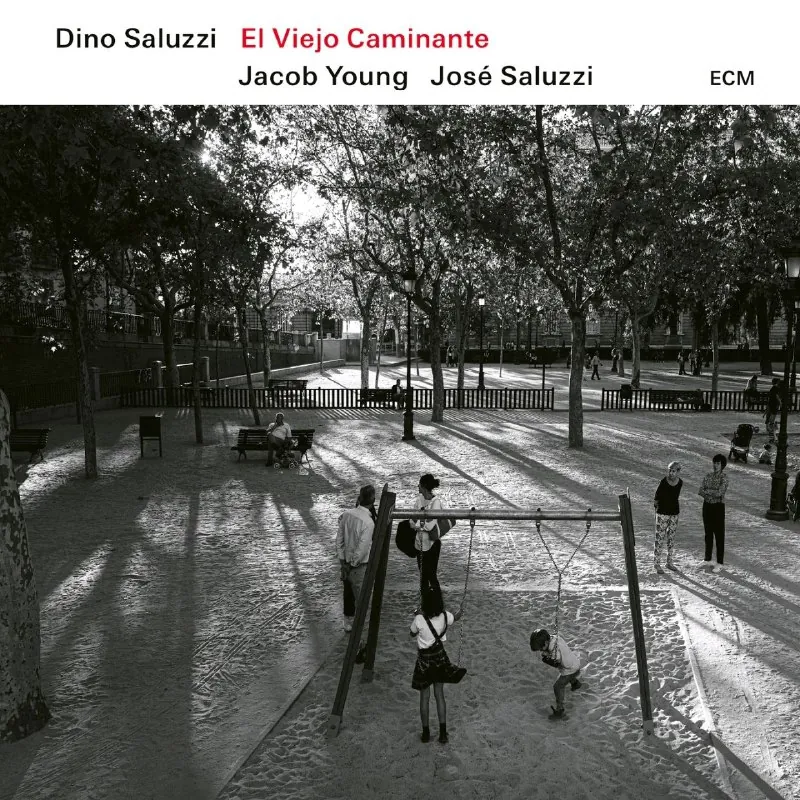 DinoSaluzzi-ElViejoCaminante