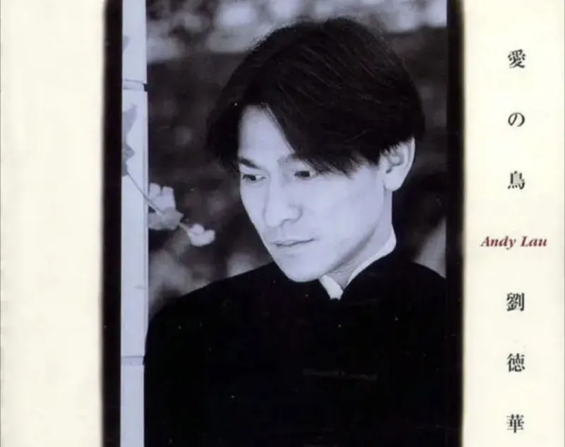 刘德华-愛の鳥