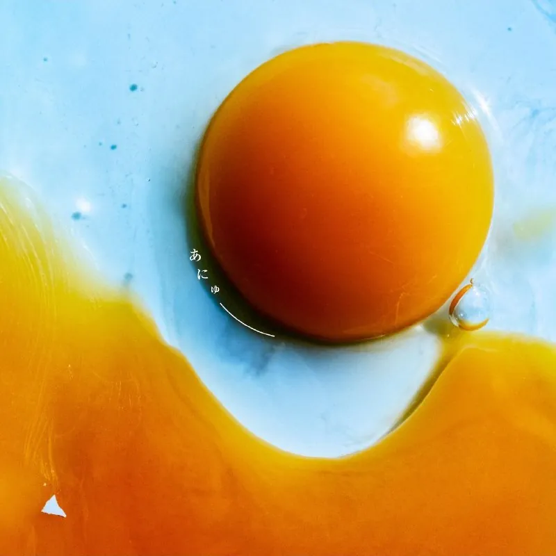 RADWIMPS—あにゅー（2025）