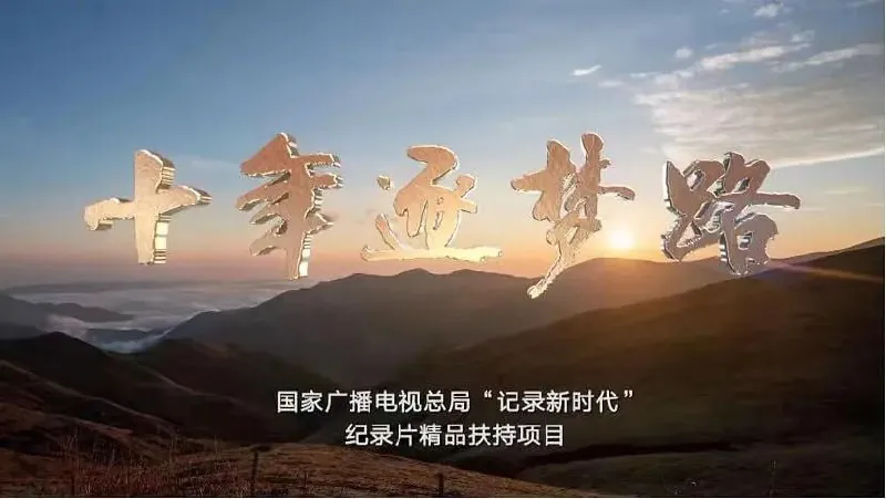 十年逐梦路