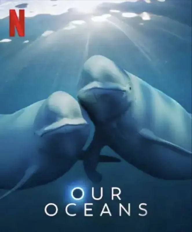 我们的海洋